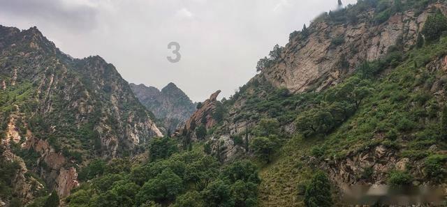 你认为捡到手机应该无偿归还吗？游戏画面