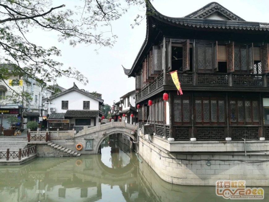 漳州某高速路段发生“二师兄”越狱！带来极大的安全隐患。